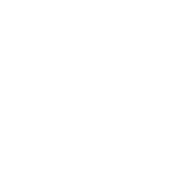 Logo evento La Vida Es Un Carnaval de San Basilio